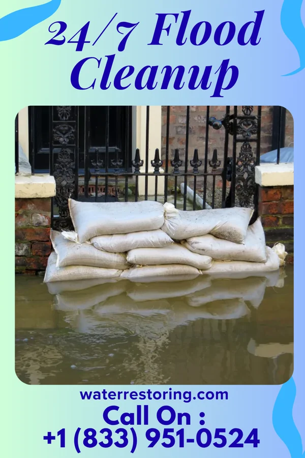 24/7 Flood Cleanup in North San Pedro, TX