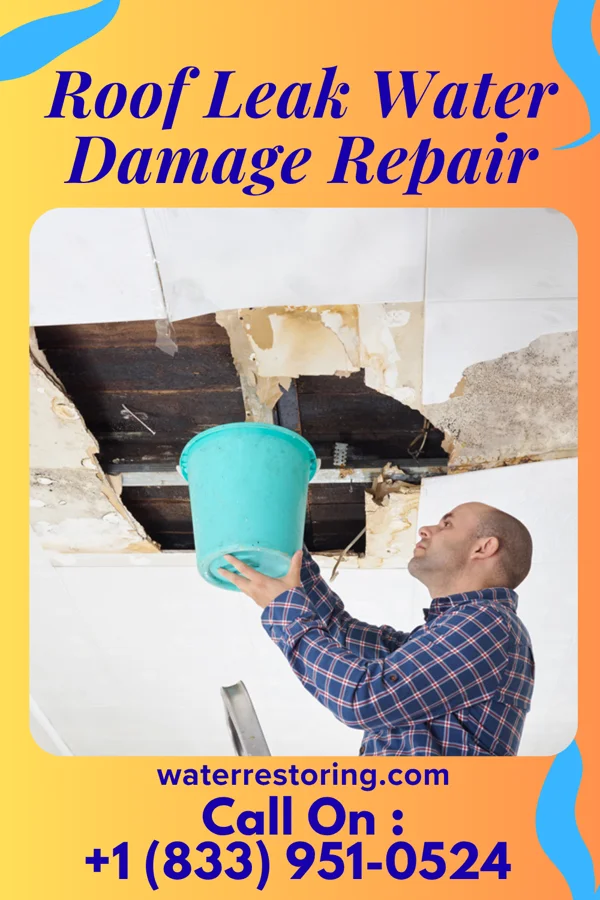 Roof Leak Water Damage Repair in North San Pedro, TX